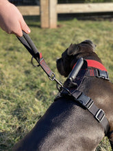 Load image into Gallery viewer, GEARLEASH HANDLE