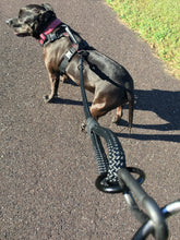 Load image into Gallery viewer, gearleash II the worlds strongest rope leash made from 5/8" dacron anti stretch rope with a ring in the handle it easily connects to your geartac k9 hands free dog walking device