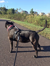 Load image into Gallery viewer, gearleash II the worlds strongest rope leash made from 5/8" dacron anti stretch rope and steel rope clamps for unbreakable strength