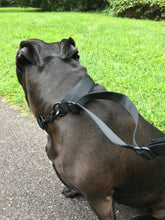 Load image into Gallery viewer, gearleash extreme is the ultimate adjustable sport dog leash made from mill spec tubular webbing
