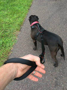 gearleash extreme is the ultimate adjustable sport dog leash and is so comfortable on your dog walking adventures