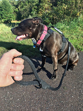 Load image into Gallery viewer, gearleash II the worlds strongest rope leash made from 5/8" dacron anti stretch rope which is thicker then any leash on the market and feels awesome in your hands