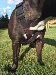 Geartac Systems XBody heavy duty dog harness with handle is the perfect fit for any dog