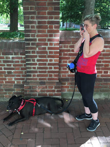 Geartac hands free dog leash and dog walking harness system is great for talking on your phone