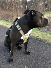Load image into Gallery viewer, the geartac service dog full size vest is awesome for your identification and ability to hold and help the rear section of your dog
