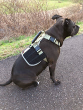 Load image into Gallery viewer, the geartac service dog full size vest is awesome for your identification and ability to hold and help the rear section of your dog