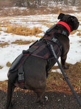 Load image into Gallery viewer, the geartac service dog full size vest is awesome for your identification and ability to hold and help the rear section of your dog
