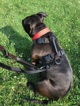 Load image into Gallery viewer, gearleash apex multiple connection configuration hands free dog leash