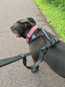 gearleash extreme is the ultimate adjustable sport dog leash for easy adjusting on the trail from four to six foot