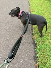 Load image into Gallery viewer, gearleash extreme is the ultimate adjustable sport dog leash is super light weight