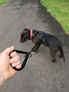gearleash extreme is the ultimate adjustable sport dog leash with super soft padded handle