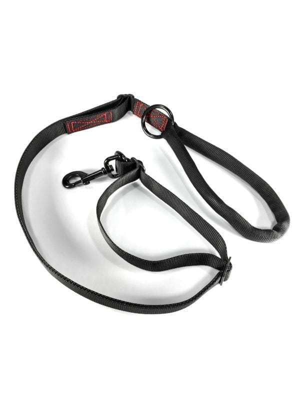 extreme dog gear GearLeash Extreme