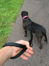 Load image into Gallery viewer, gearleash extreme is the ultimate adjustable sport dog leash and is so comfortable on your dog walking adventures