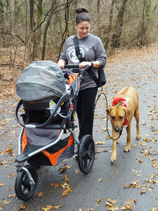 Geartac hands free dog leash and dog walking harness system is awesome for walking with your kids